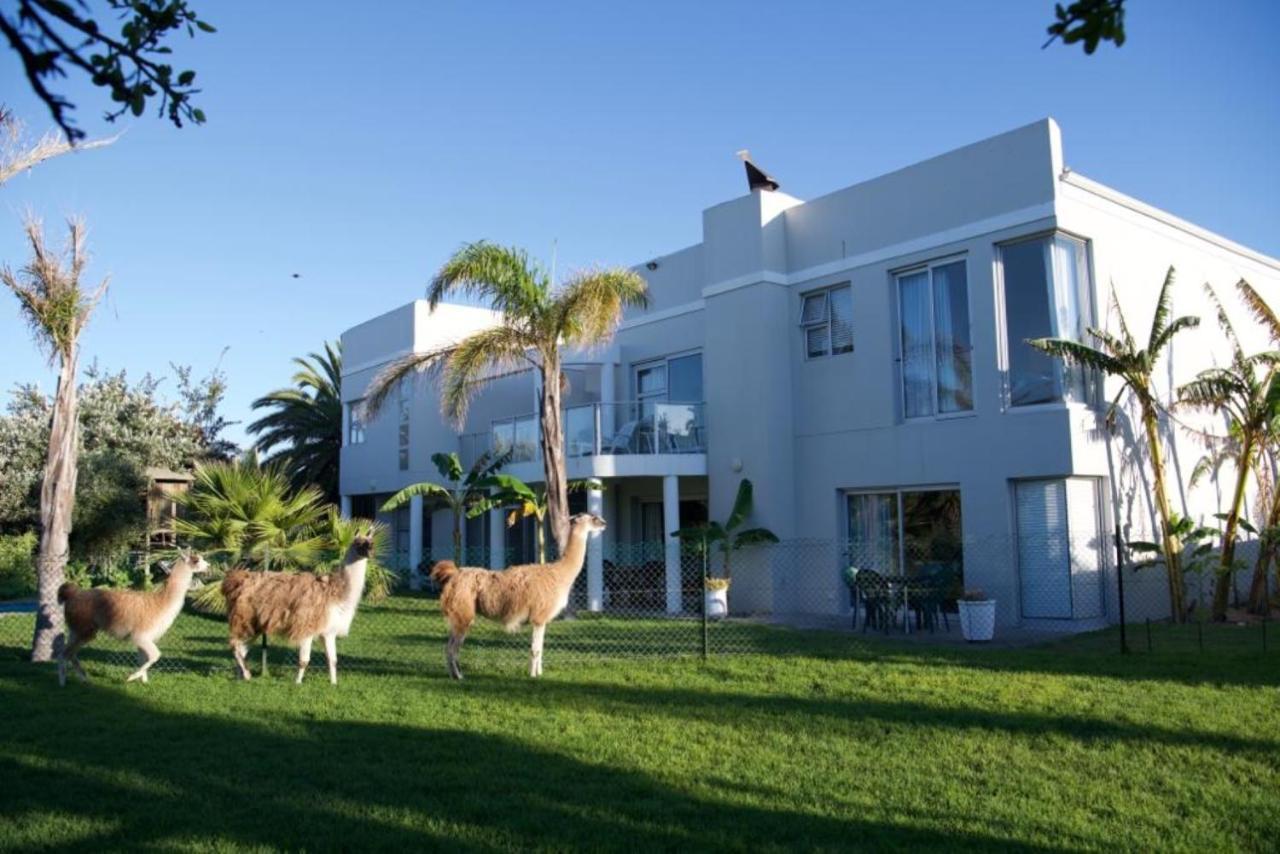 LamaBeach Kapstadt Exterior foto